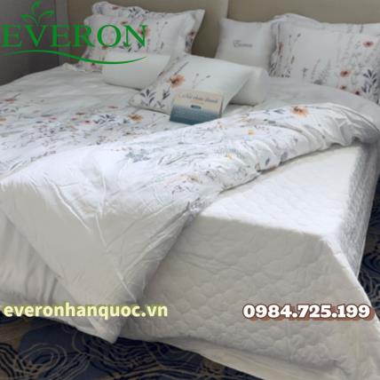 Bộ Everon EPT-25018